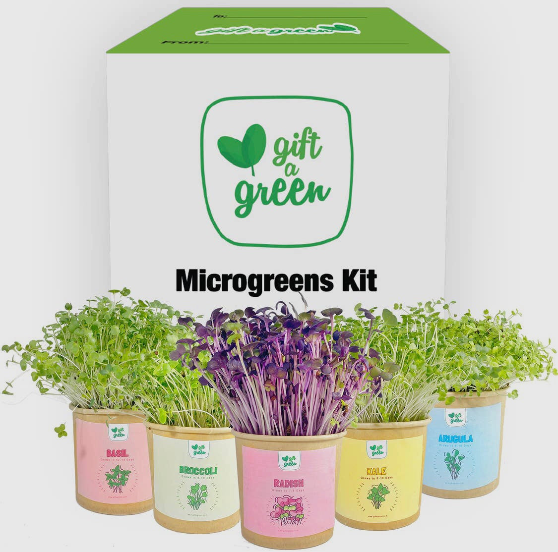 Coffret Cadeau de Micro-pousses Biologiques ***En Stock