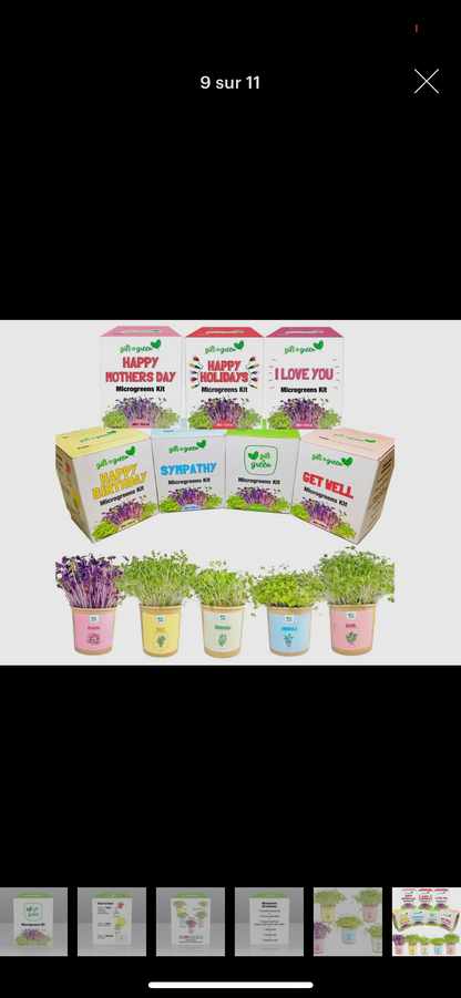 Coffret Cadeau de Micro-pousses Biologiques ***En Stock