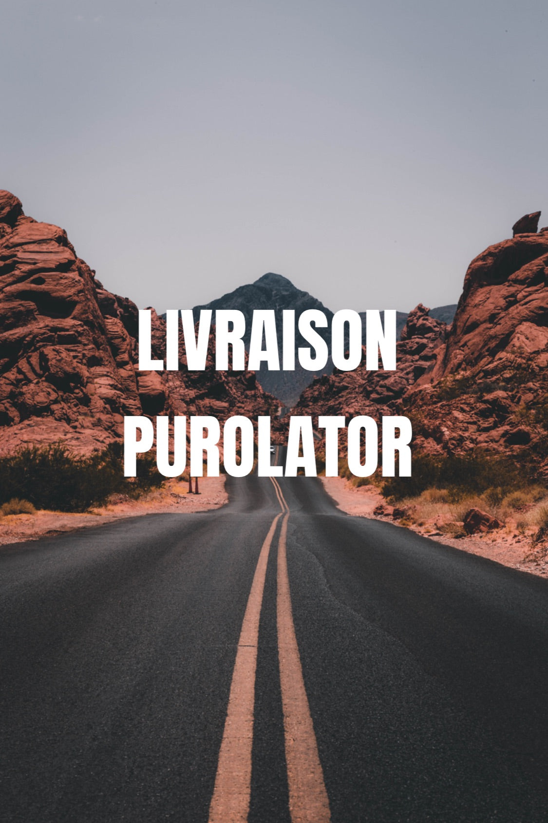 LIVRAISON PUROLATOR